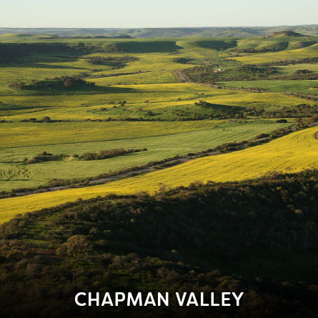 Chapman Valley