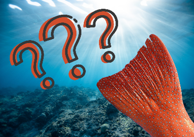 Museum Trail: We Like to Move It