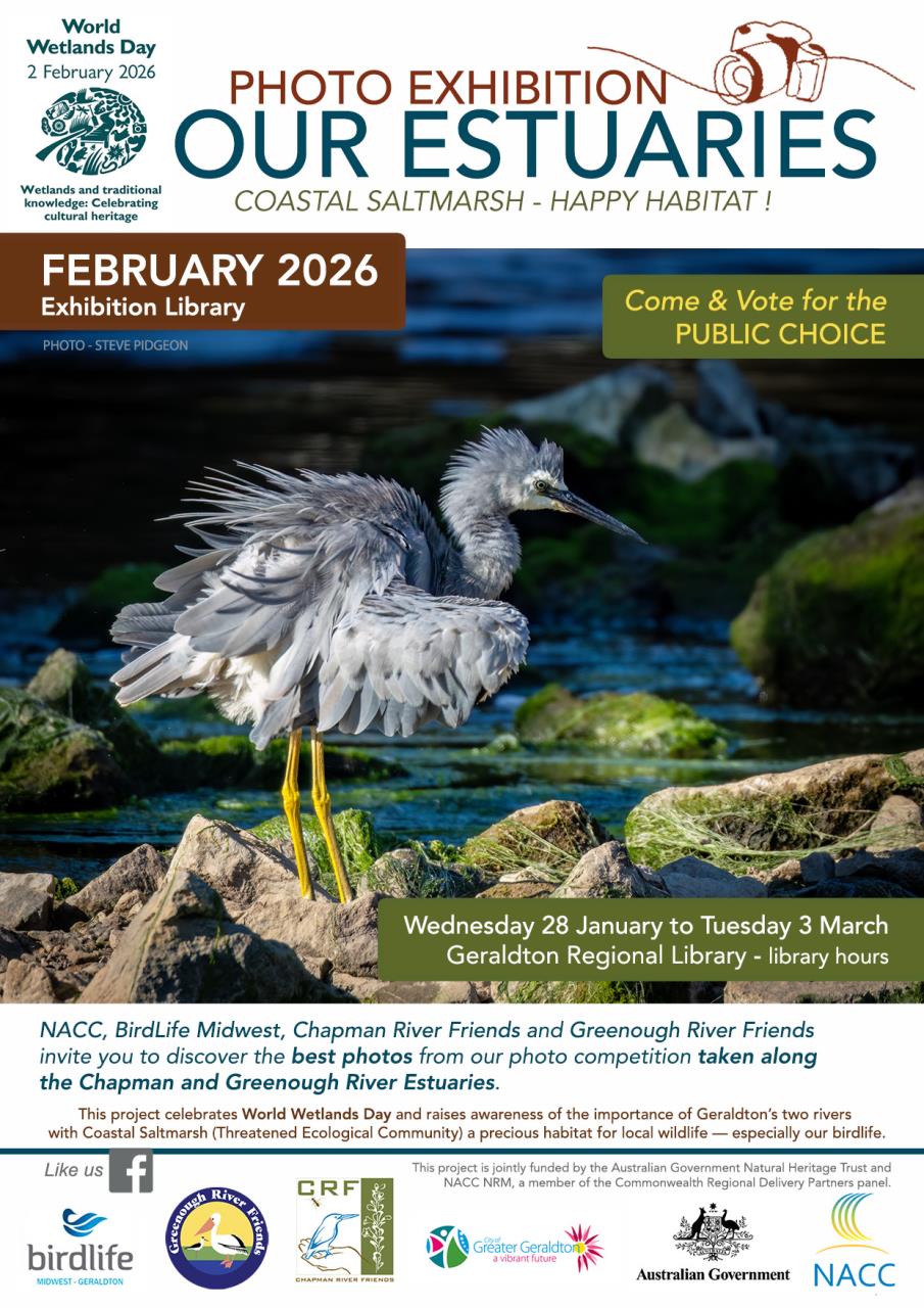 Photo Exhibition | Our Estuaries