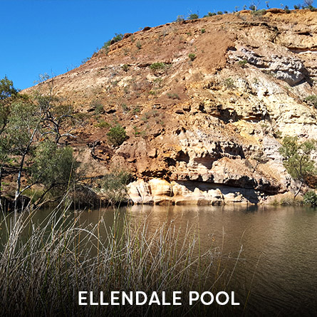 Ellendale Pool