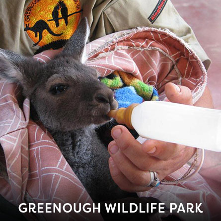 Greenough Wildlife and Bird Park