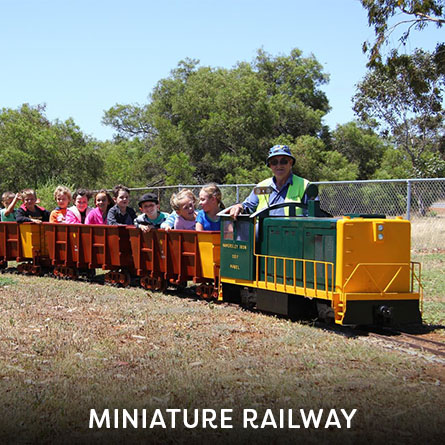 Miniature Railway