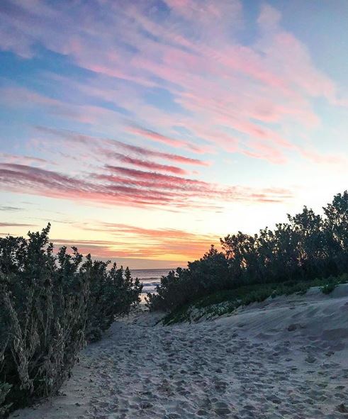 Tarcoola Beach - Curly Headed Travellers