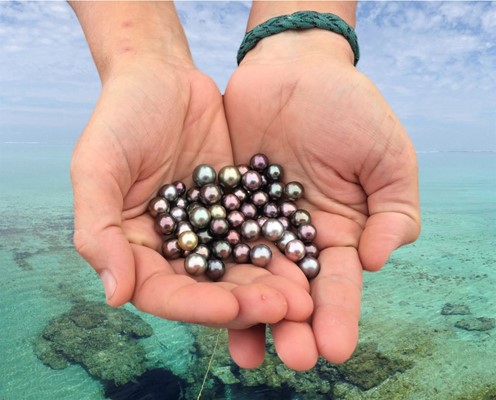 Latitude Jewellers - Abrolhos Island Pearls from Latitude