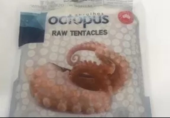 Abrolhos Octopus - pack