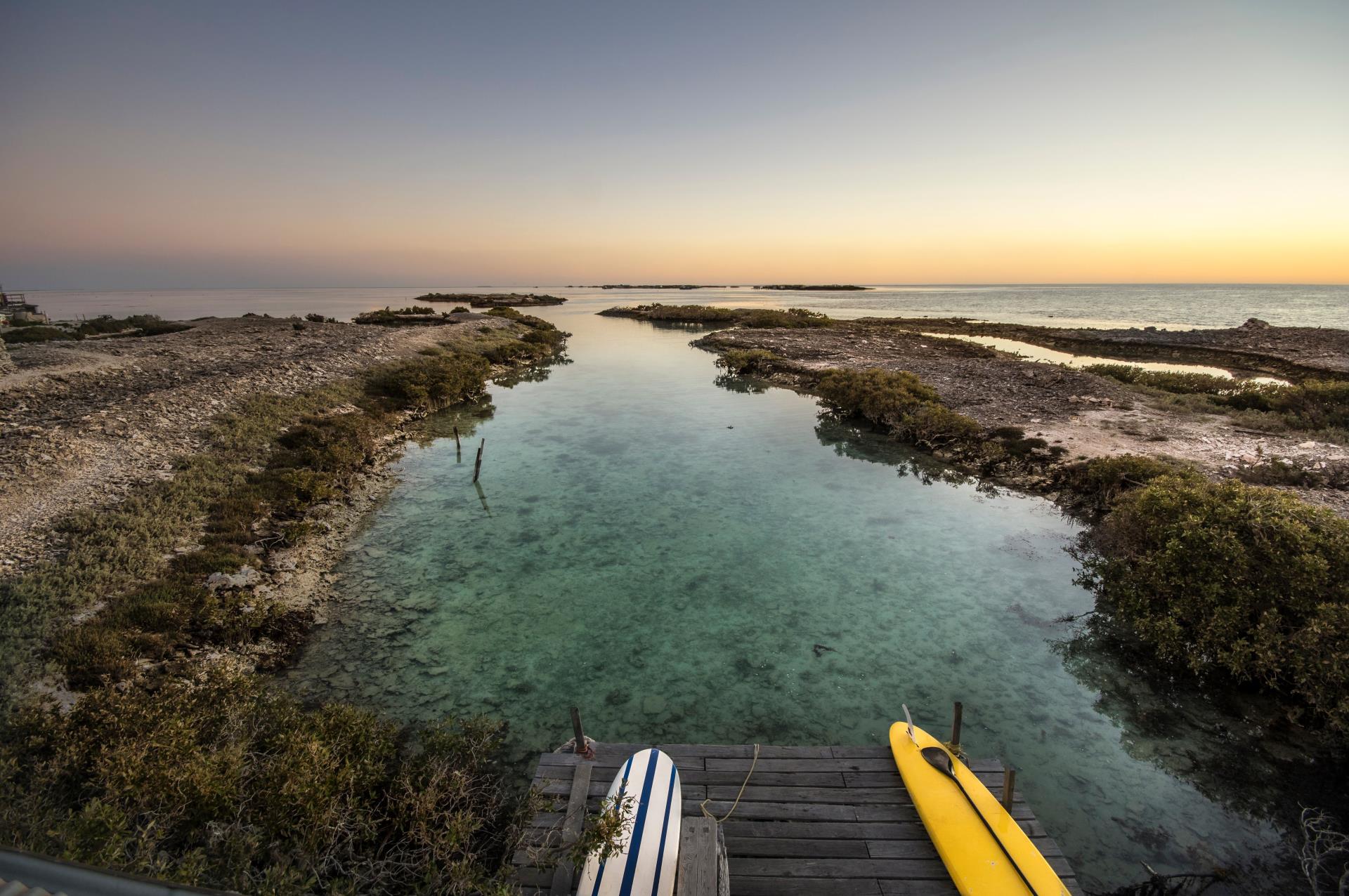 Pearls and Plates 2021