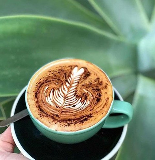 Best Coffee In Geraldton