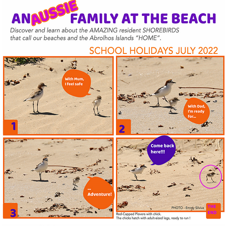 An Aussie Family at the Beach - School Holiday Activity